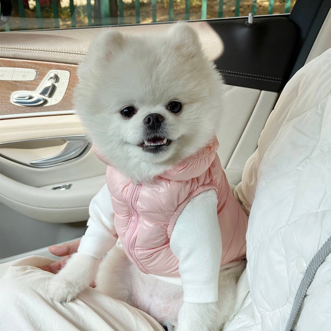 Pawda Dog Cat  Down Vest