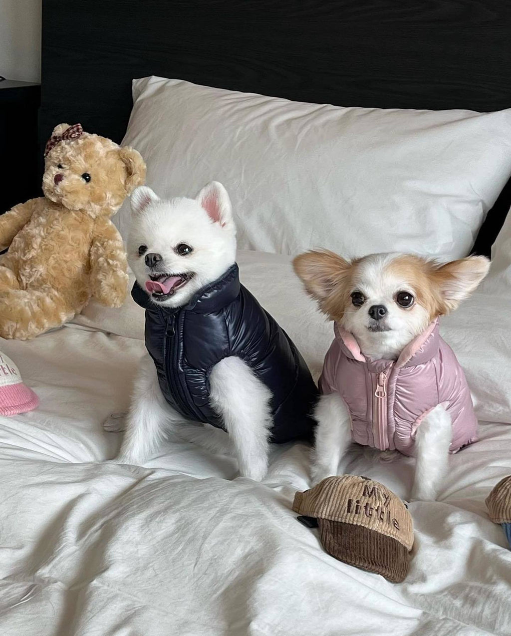 Pawda Dog Cat  Down Vest