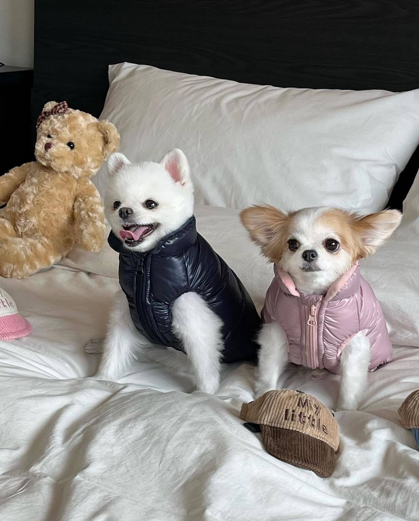 Pawda Dog Cat  Down Vest