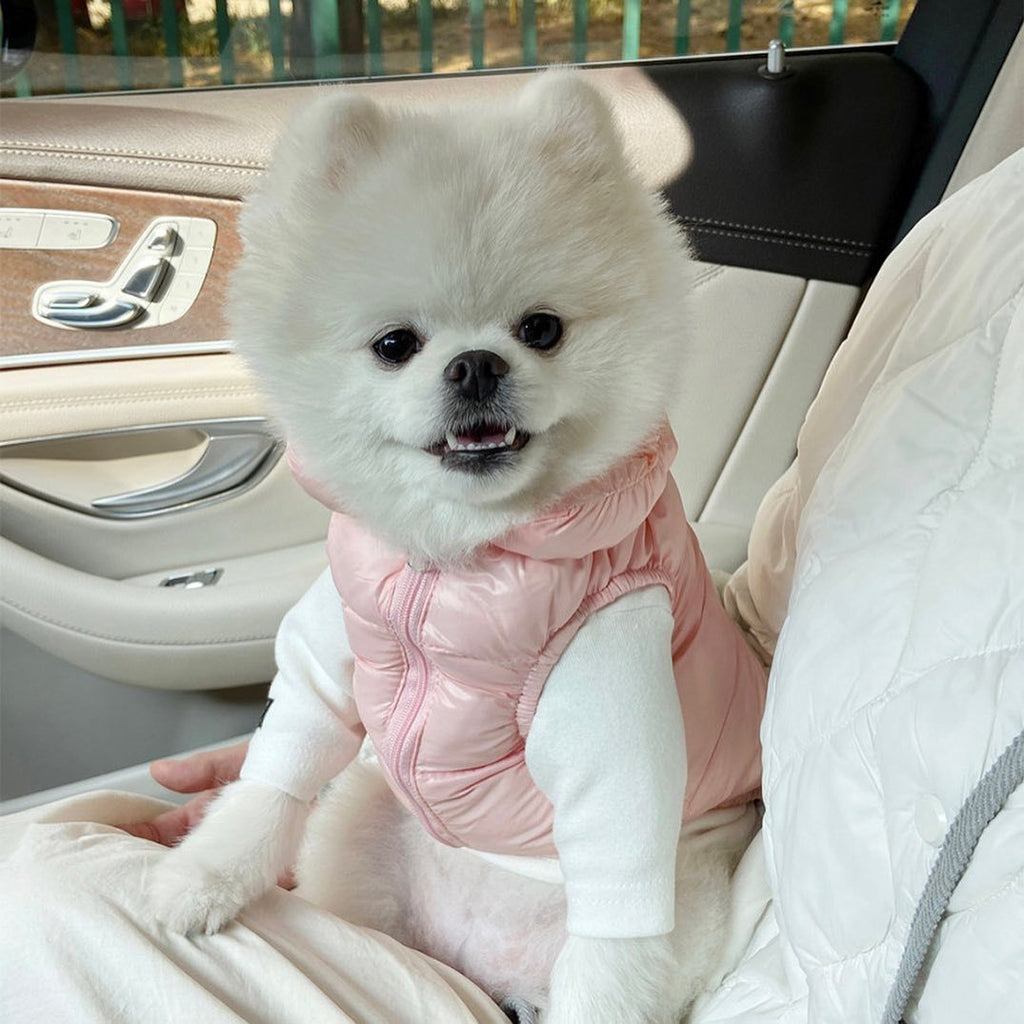 Pawda Dog Cat  Down Vest