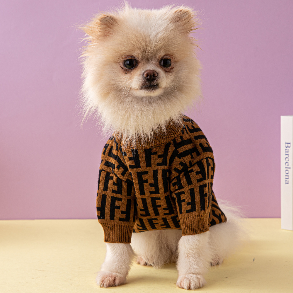Designer dog clothes Fendi Dog Sweater (2)