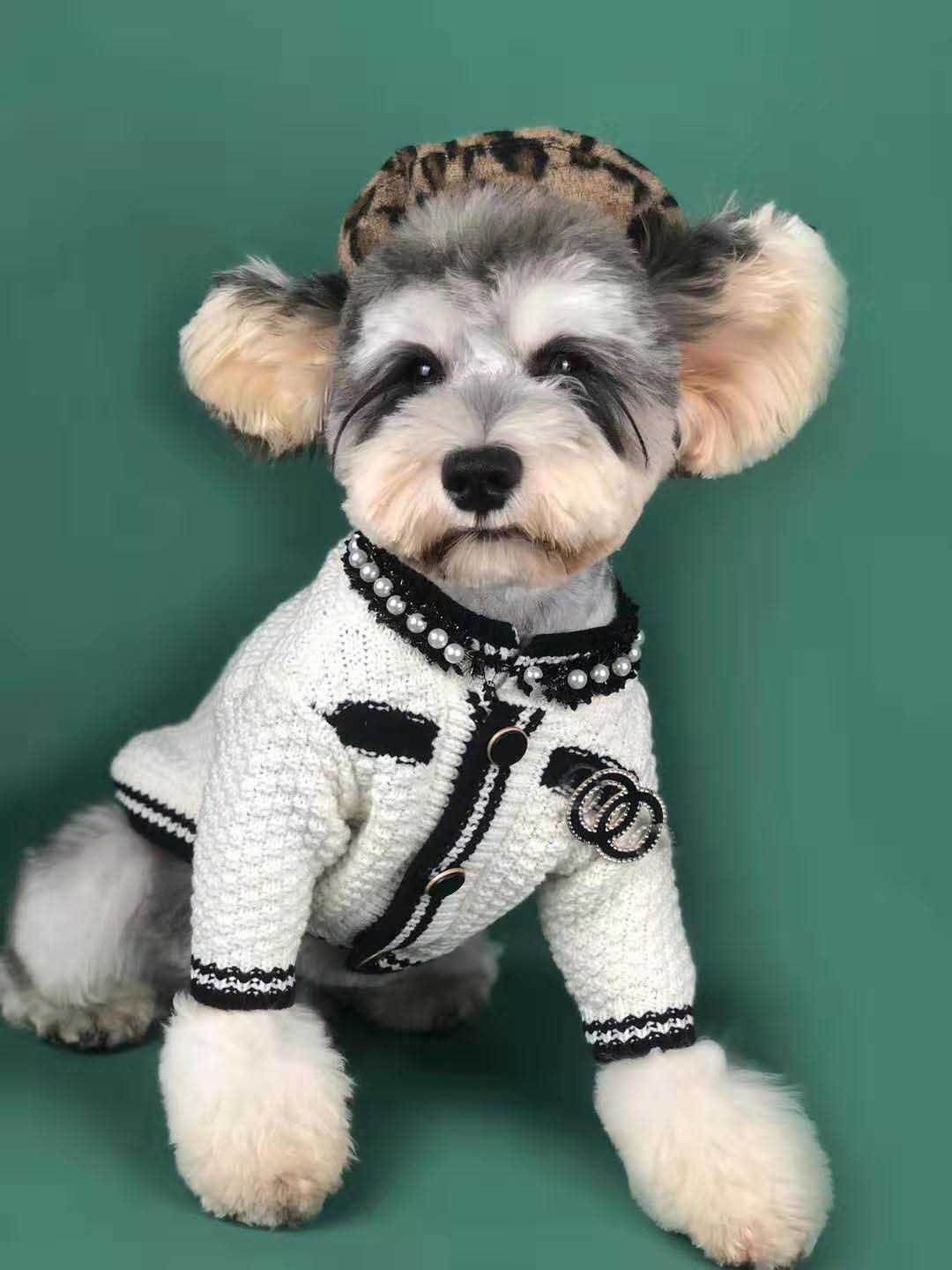 Designer Dog Sweater & Cardigan - Luxury Dog Clothes | Designer Dog Clothes Wholesale