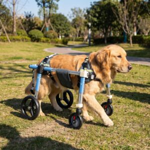 Restore Their Freedom | Premium Adjustable Dog Wheelchair for Hind Leg Mobility Support | Lightweight Aluminum Rehabilitation Walker